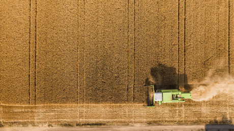 Ein Mähdrescher bei der Getreideernte © imago/Westend61