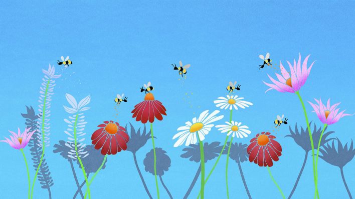 Bienen und Blumen © IMAGO/Ikon Images/Nick Purser