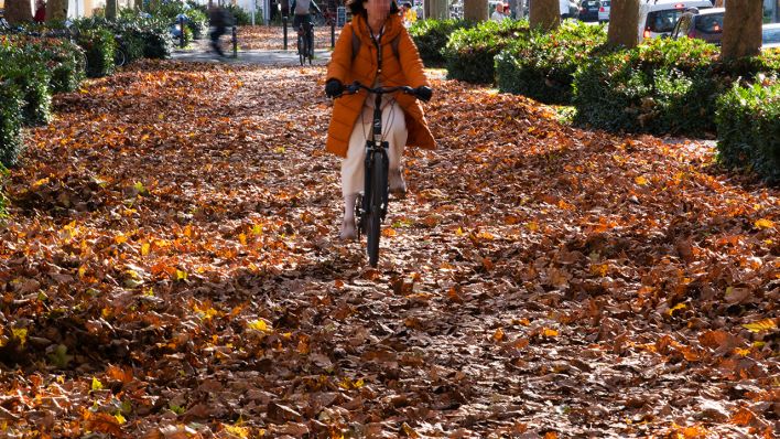Eine Radfahrerin fährt über eine mit Herbstlaub bedeckte Straße (Symbolbild) © imago images/bodenseebilder.de