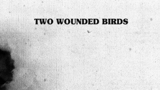 Two Wounded Birds von Two Wounded Birds