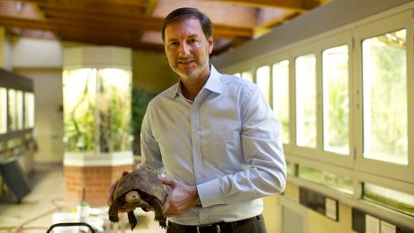 Der Direktor des Zoologischen Gartens sowie des Tierparks, Andreas Knieriem © imago/Christian Thiel