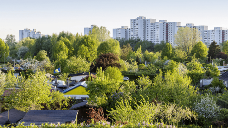 Eine Kleingartenanlage in Berlin © imago images/Arnulf Hettrich