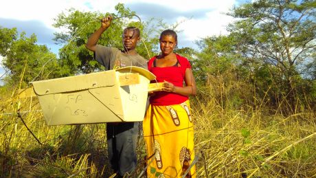 Bienenzüchter in Sambia © WeForest