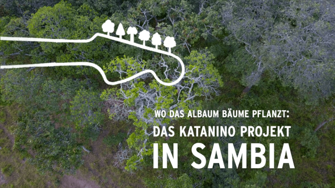 Wo das Albaum Bäume pflanzt: Das Katanino Projekt in Sambia © radioeins/WeForest