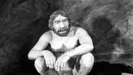 Rekonstruktion eines Neandertalers im Neanderthalmuseum in Mettmann © imago images/bonn-sequenz