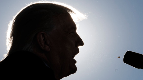 Die Silhouette von Donald Trump © AP Photo/Alex Brandon