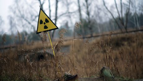 Ein Strahlenwarnzeichen steht in der Sperrzone um das explodierte Atomkraftwerk Tschernobyl auf einem Feld. ©dpa/Ukrinform