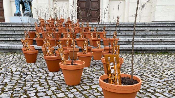 radioeins Eichen - Stadtverwaltung 2.0