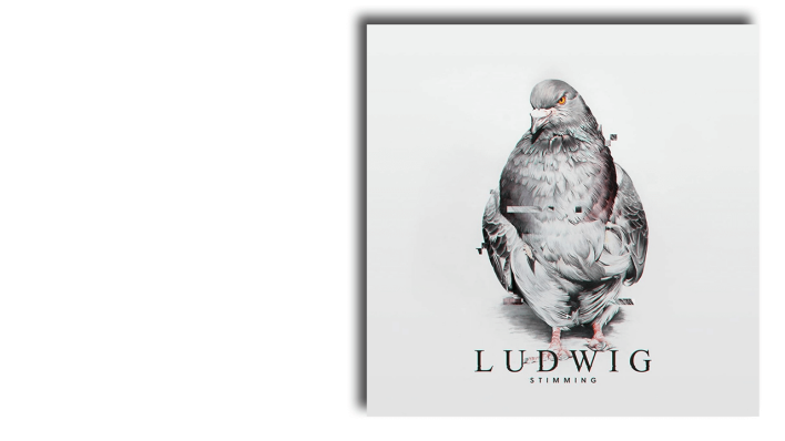 Ludwig von Stimming © Stimming Ludwig von Stimming © Stimming