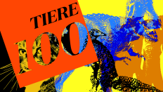 Top 100 2021 Tiere