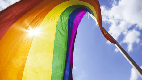 Regenbogenfahne © imago images/photothek