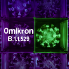 Symbolfoto Omikron-Variante B.1.1.529: Coronavirus mit Schriftzug Omikron © imago images/Christian Ohde