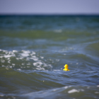 Plastikente im Meer © IMAGO / Meike Engels