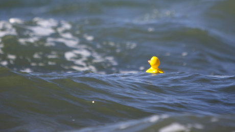 Plastikente im Meer © IMAGO / Meike Engels
