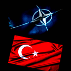 Die Flaggen der NATO und Türkei © imago images/Pacific Press Agency