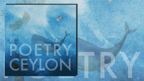 Poetry Ceylon von Ditty