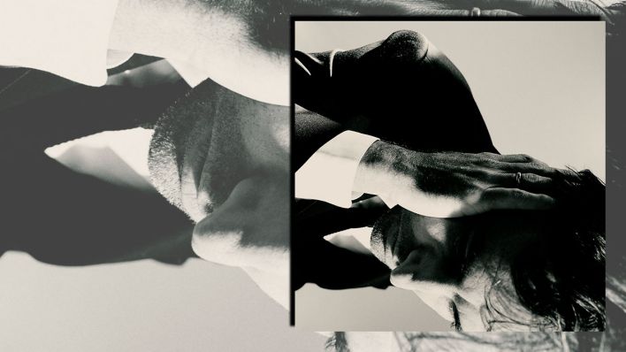 Inside Problems von Andrew Bird
