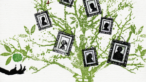 Bilder hängen an einem Familienstammbaum © imago images/Ikon Images