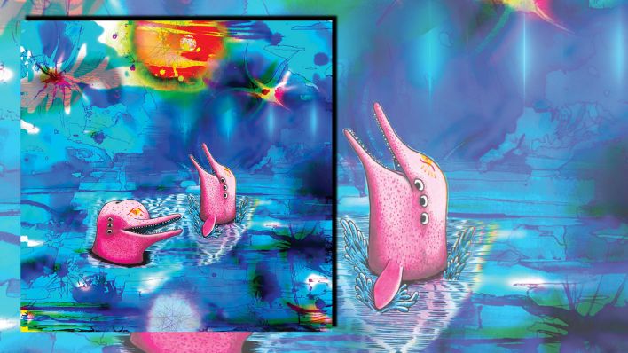 Pink Dolphins von Anteloper