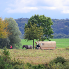 Ein von einem Pferd gezogener Wagen fährt in der Uckermark durch die Landschaft © dpa/Soeren Stache
