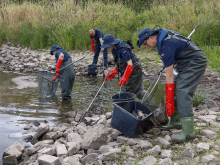 Ziegenwerder: Mitarbeiter des Technischen Hilfswerks holen toten Fische aus der Oder