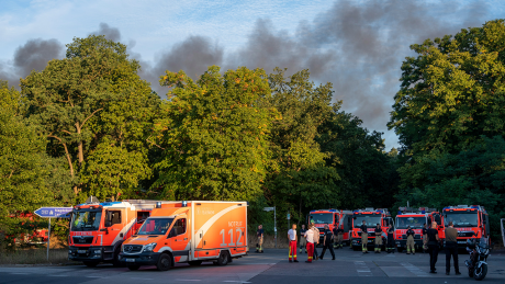 Brand im Grunewald: Feuerwehrfahrzeuge stehen am Kronprinzessinnenweg in Berlin