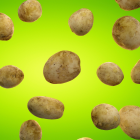 Kartoffeln © IMAGO / Science Photo Library