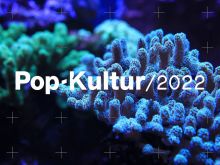 Pop-Kultur Festival