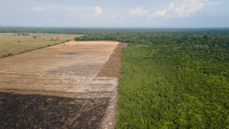 Das Luftbild zeigt eine verbrannte und abgeholzte Fläche im Amazonas-Gebiet. Im brasilianischen Amazonasgebiet sind allein im September 2022 rund 1450 Quadratkilometer Regenwald abgeholzt worden © Fernando Souza/ZUMA Press Wire/dpa
