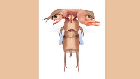 Von Clowns und anderen Schweinehunden © Karime Benzakour-Knidel Von Clowns und anderen Schweinehunden © Karime Benzakour-Knidel