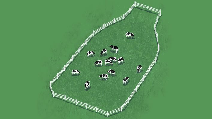 Kühe grasen auf einer Weide in Form einer Milchflasche @ imago images/Ikon images