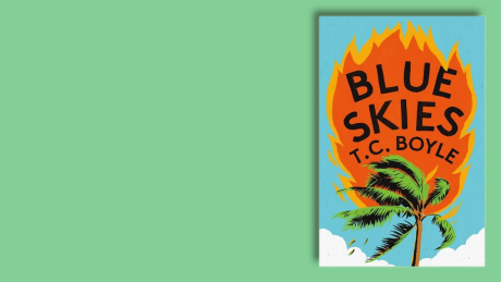 "Blue Skies" von T.C. Boyle