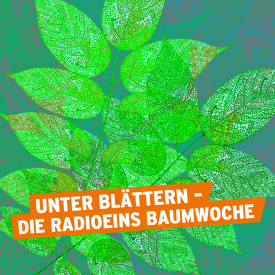 Die radioeins Baumwoche