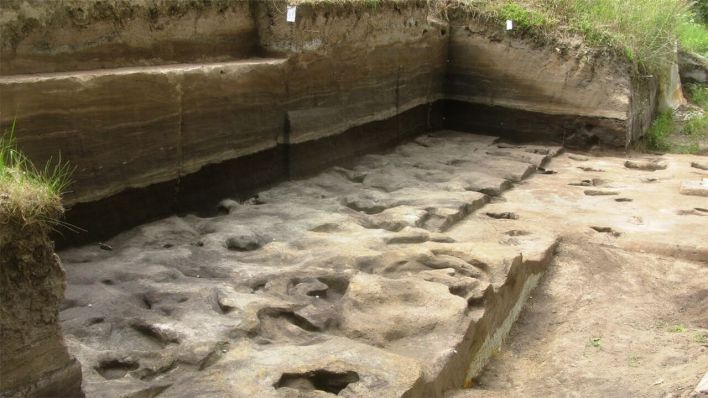 Fossile Fußabdrücke aus der Fundstelle Schöningen 13 II-2 Untere Berme © Senckenberg