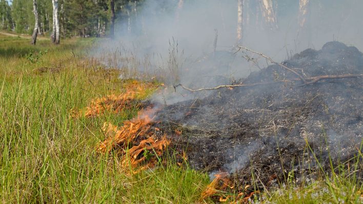 Der Waldbrand in dem ehemaligen Truppenübungsgebiet bei Jüterbog dort ist immer noch nicht gelöscht (Aufnahme vom 04.06.2023) © dpa/Michael Bahlo
