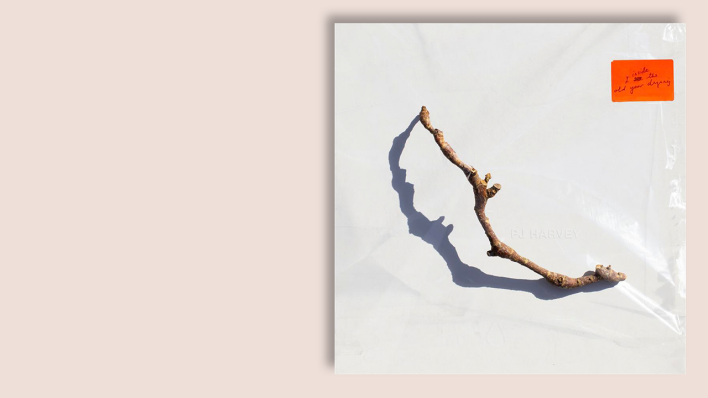 I Inside The Old I Dying von PJ Harvey I Inside The Old I Dying von PJ Harvey