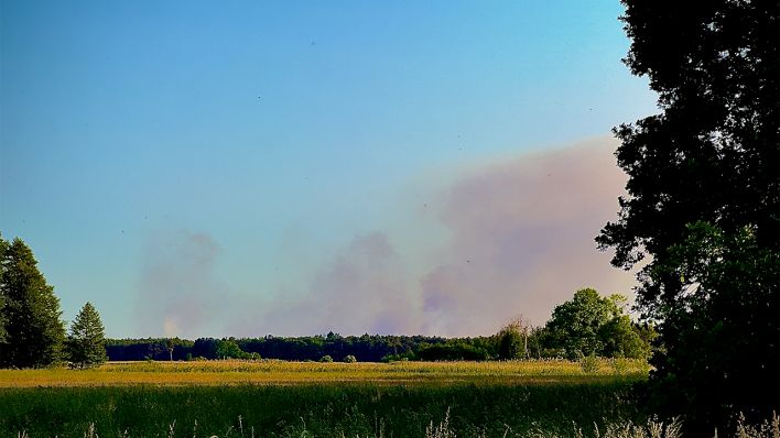 Waldbrand bei Jüterbog © Schuster