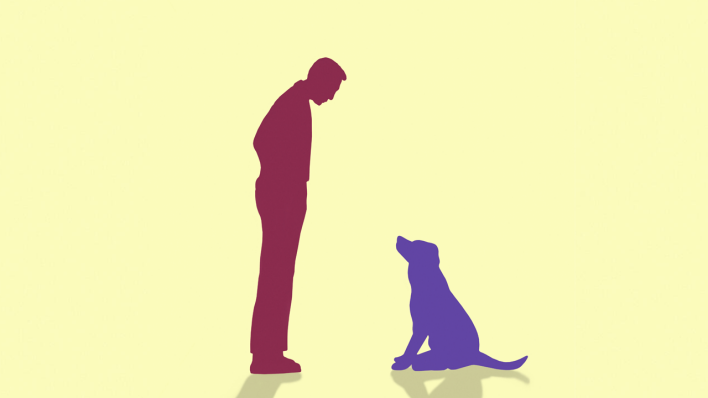 Mensch und Hund sehen einander an © IMAGO / Ikon Images