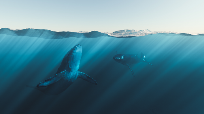 Wale im Meer (Illustration) © IMAGO / Wirestock