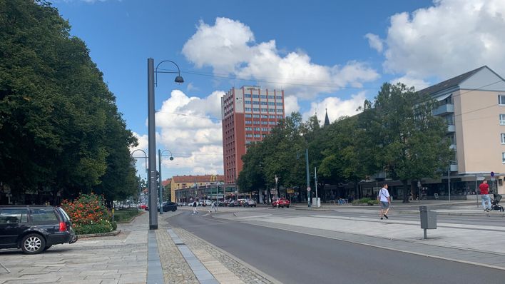 Lindenbäume auf der Karl-Marx-Straße in Frankfurt (Oder) © radioeins/Regina Lechner