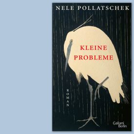 "Kleine Probleme" von Nele Pollatscheck