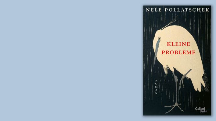 "Kleine Probleme" von Nele Pollatscheck "Kleine Probleme" von Nele Pollatscheck