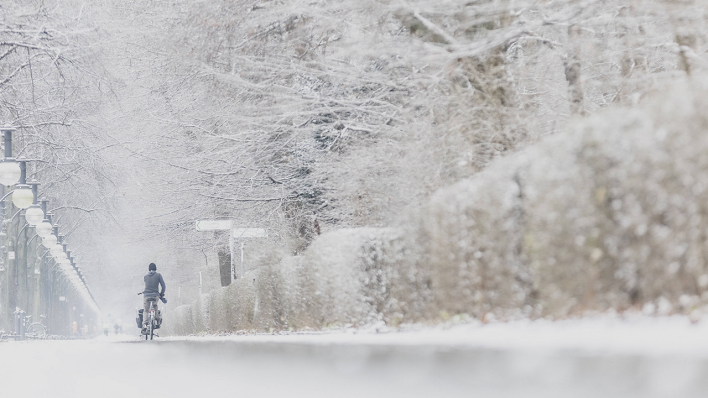 Ein Mann fährt mit einem Lastenrad den verschneiten Tiergarten © IMAGO / photothek