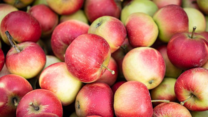 Pomologie - Heute ist Tag des Apfels | radioeins