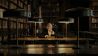Umberto Eco - Eine Bibliothek der Welt © mindjazz pictures