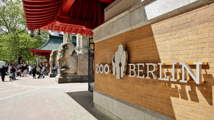 Eingang zum Zoo Berlin © imago images/Reiner Zensen