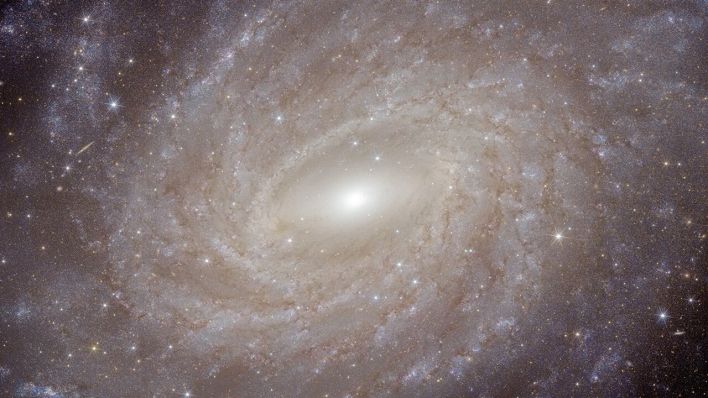 Spiralgalaxie "NGC 6744", aufgenommen von der Sonde "Euclid" © ESA/Euclid/Euclid Consortium/NASA/J.-C. Cuillandre (CEA Paris-Saclay), G. Anselmi/dpa