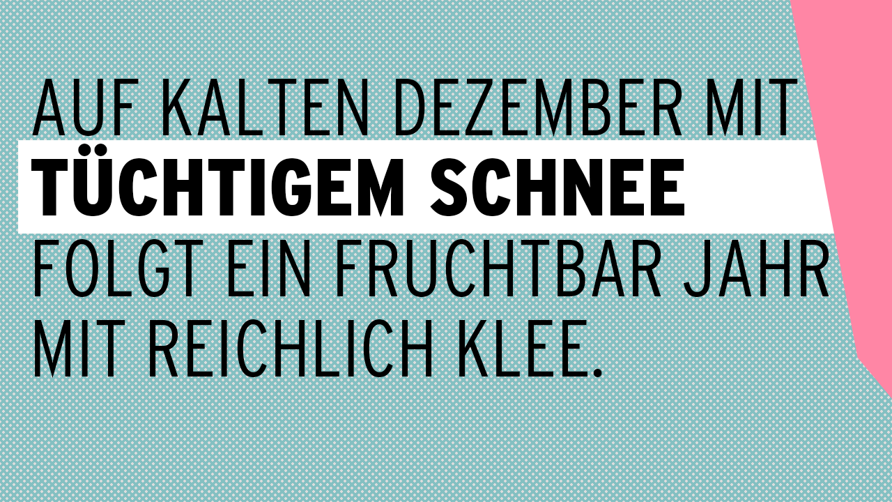 Auf kalten Dezember mit tüchtigem Schnee folgt ein fruchtbar Jahr mit reichlich Klee.