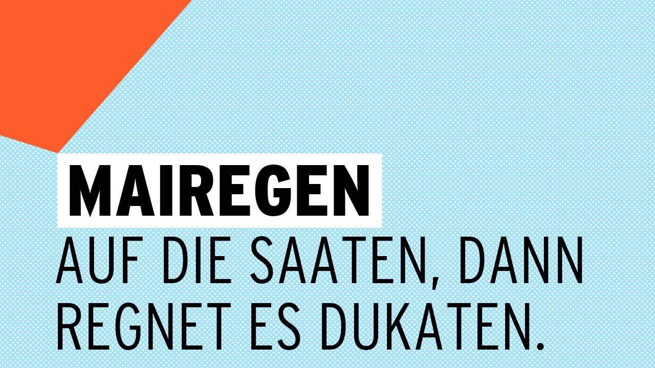 Mairegen auf die Saaten, dann regnet es Dukaten.