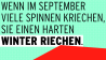 Wenn im September viele Spinnen kriechen, sie einen harten Winter riechen.